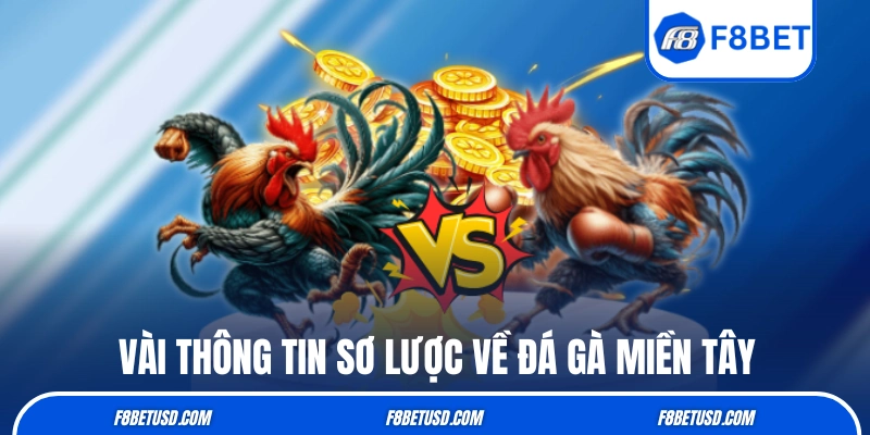 Đá Gà Miền Tây: Nét Đẹp Văn Hoá Của Người Dân Miền Sông Nước 2 Những thông tin sơ lược về hình thức đá gà miền Tây