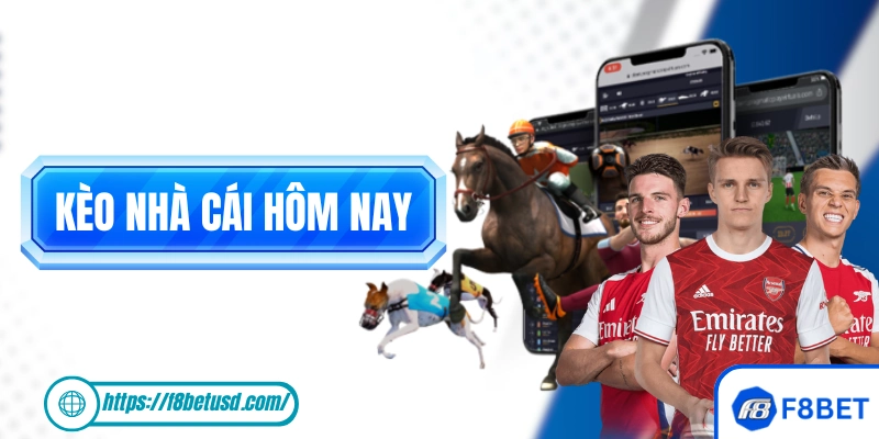 Kèo Nhà Cái Hôm Nay: Cách Đọc Chuẩn Xác Trước Khi Xuống Tiền